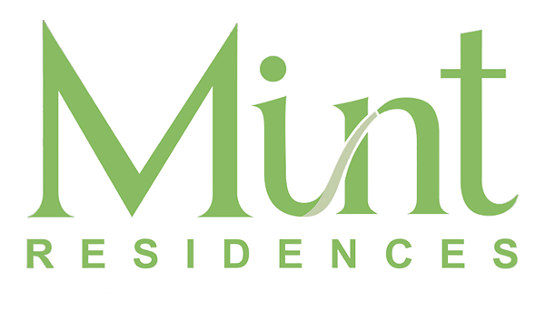 Mint-logo-transparent2 (1)